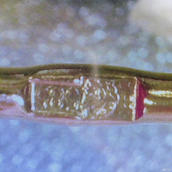 Золотые серьги 585пр. вес: 1,24гр