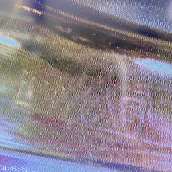 Золотое кольцо с камнями 585пр. размер: 15,4