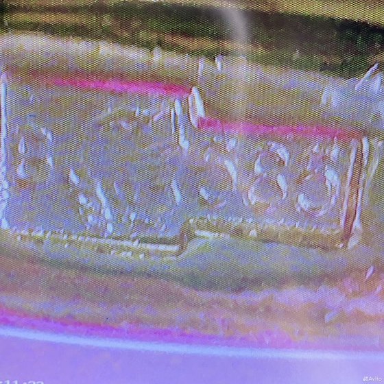Золотое кольцо с камнями 585пр. размер: 18,7